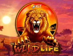 Ugga Bugga – Playtech